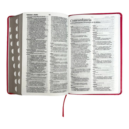 Biblia Reina Valera 1960 | Tamaño manual | Letra grande 12 pts | Imitación piel rosa oscuro | Colección clásica