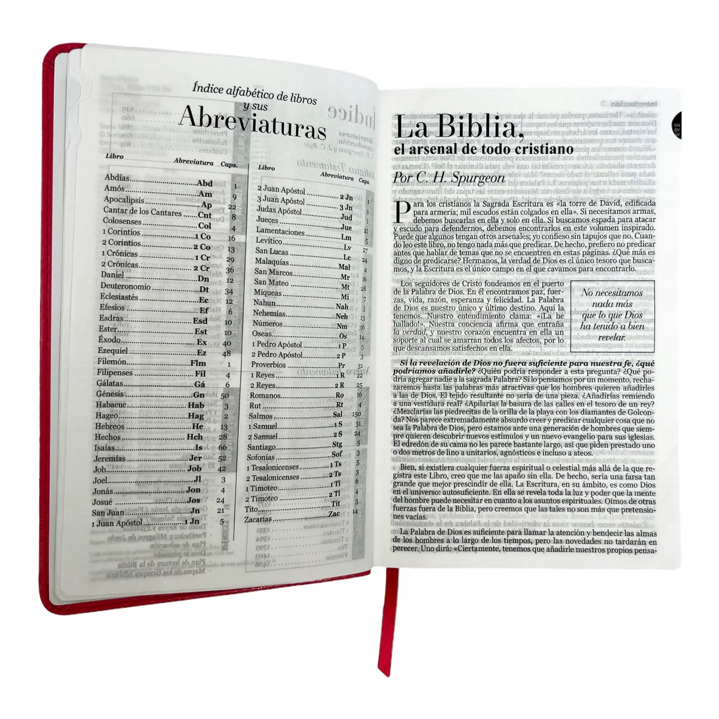 Biblia Reina Valera 1960 | Tamaño manual | Letra grande 12 pts | Imitación piel rosa oscuro | Colección clásica