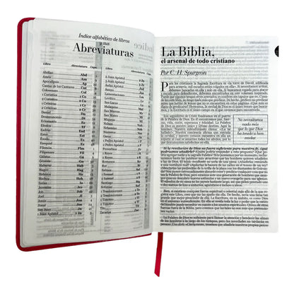 Biblia Reina Valera 1960 | Tamaño manual | Letra grande 12 pts | Imitación piel rosa oscuro | Colección clásica