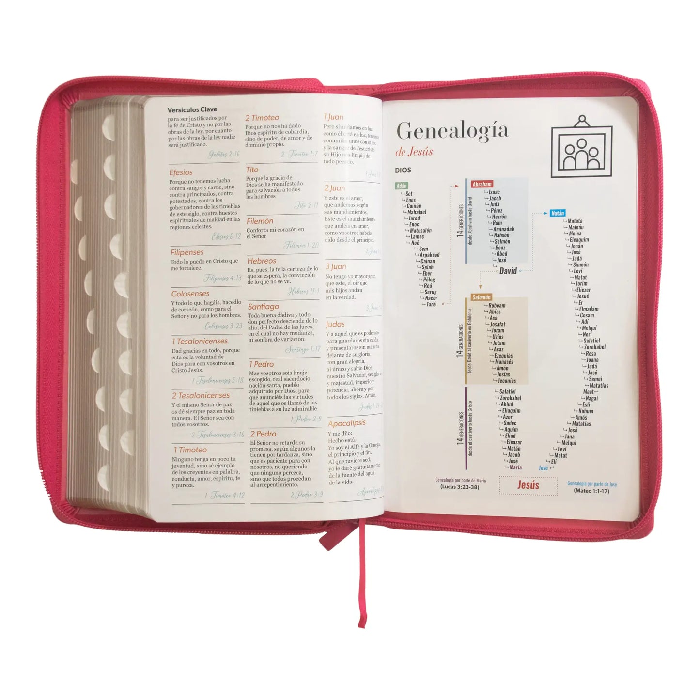 Biblia Reina Valera 1960 | Letra grande 12 pts | Tamaño manual | Imitación piel con índice y cierre | Canto dorado