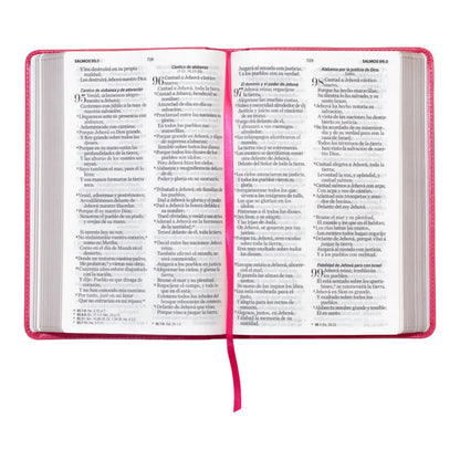 Biblia Reina Valera 1960 | Tamaño manual | Letra grande 12 pts | Imitación piel rosa oscuro con índice | Colección clásica