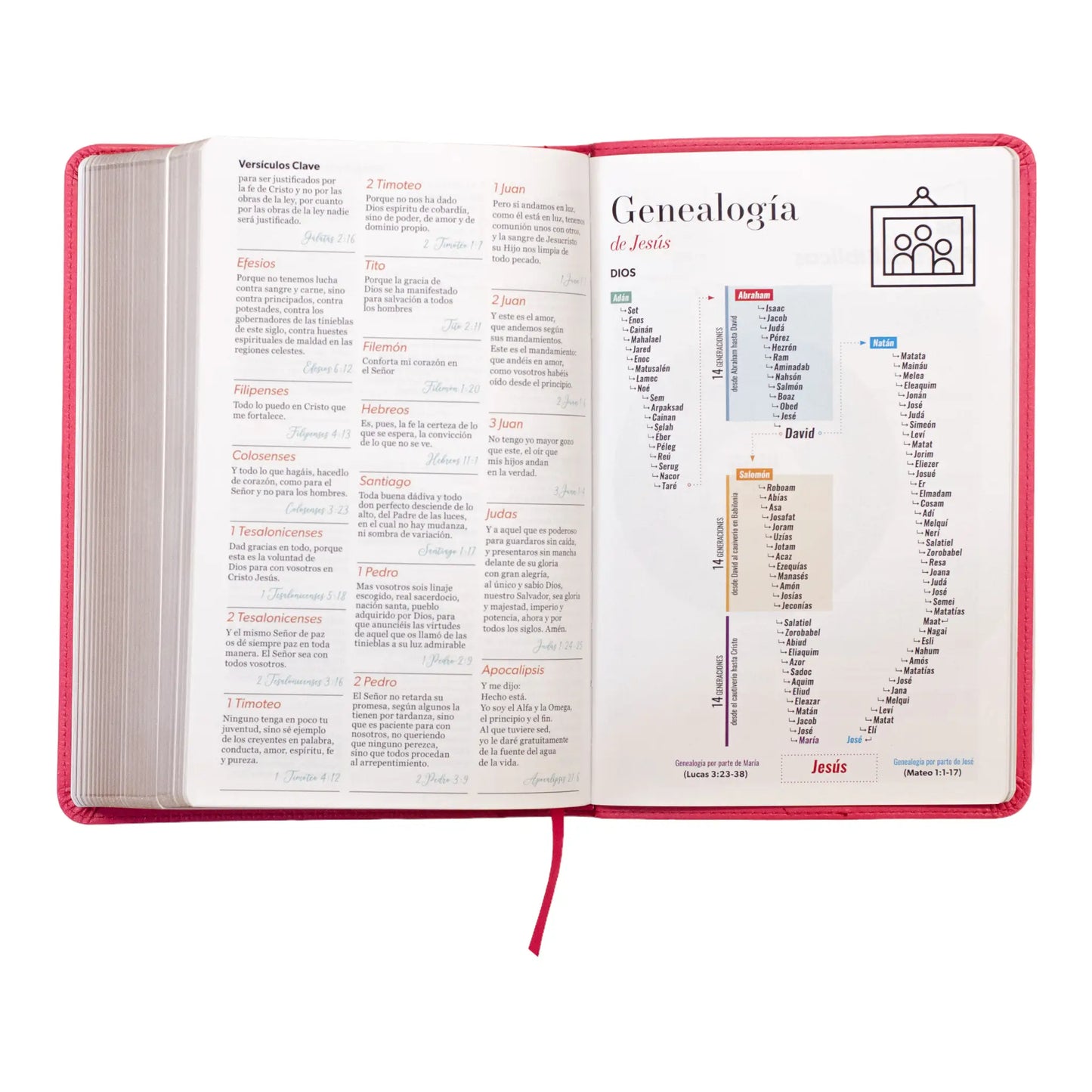 Biblia Reina Valera 1960 | Tamaño manual | Letra grande 12 pts | Imitación piel rosa oscuro con índice | Colección clásica