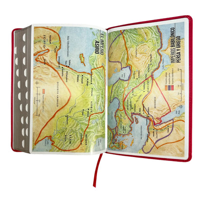 Biblia Reina Valera 1960 | Tamaño manual | Letra grande 12 pts | Imitación piel rosa oscuro | Colección clásica