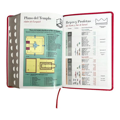 Biblia Reina Valera 1960 | Tamaño manual | Letra grande 12 pts | Imitación piel rosa oscuro | Colección clásica