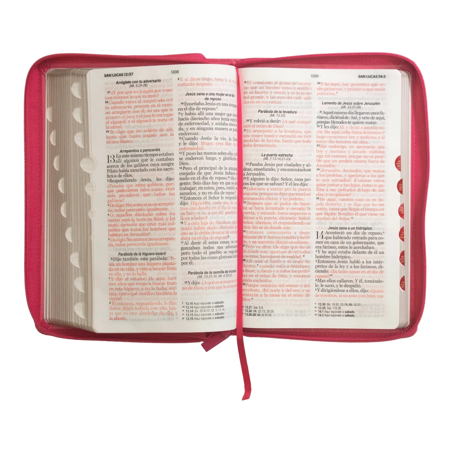 Biblia Reina Valera 1960 | Letra grande 12 pts | Tamaño manual | Imitación piel con índice y cierre | Canto dorado