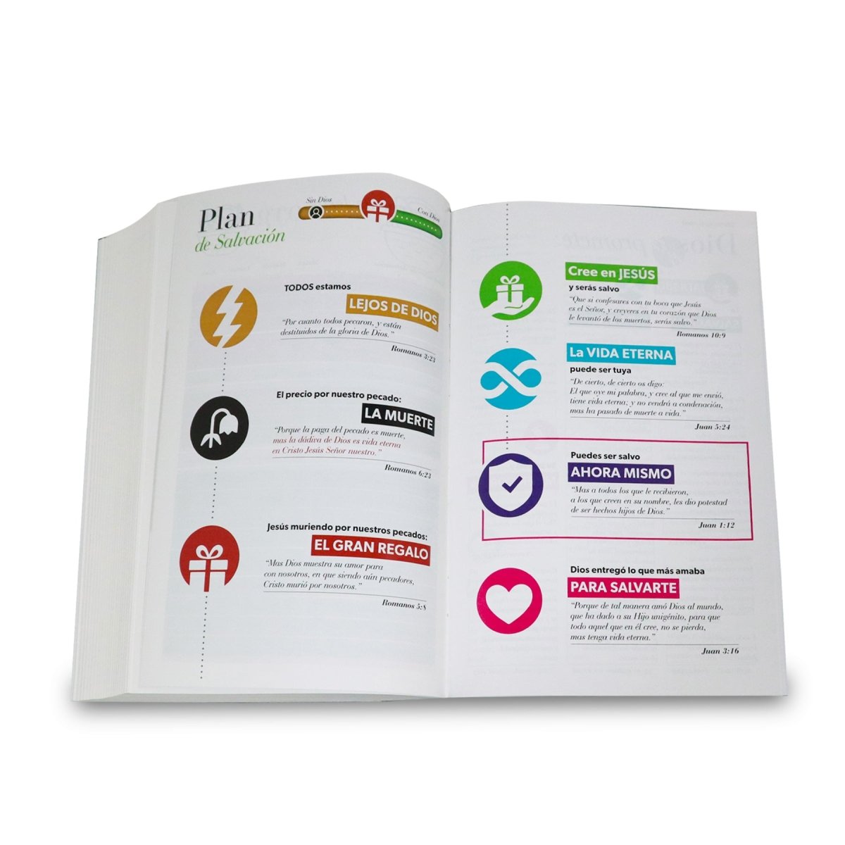 Biblia Reina Valera 1960 | Letra gigante 15 pts | Diseño mariposa turquesa/rosa | Imitación piel | Español