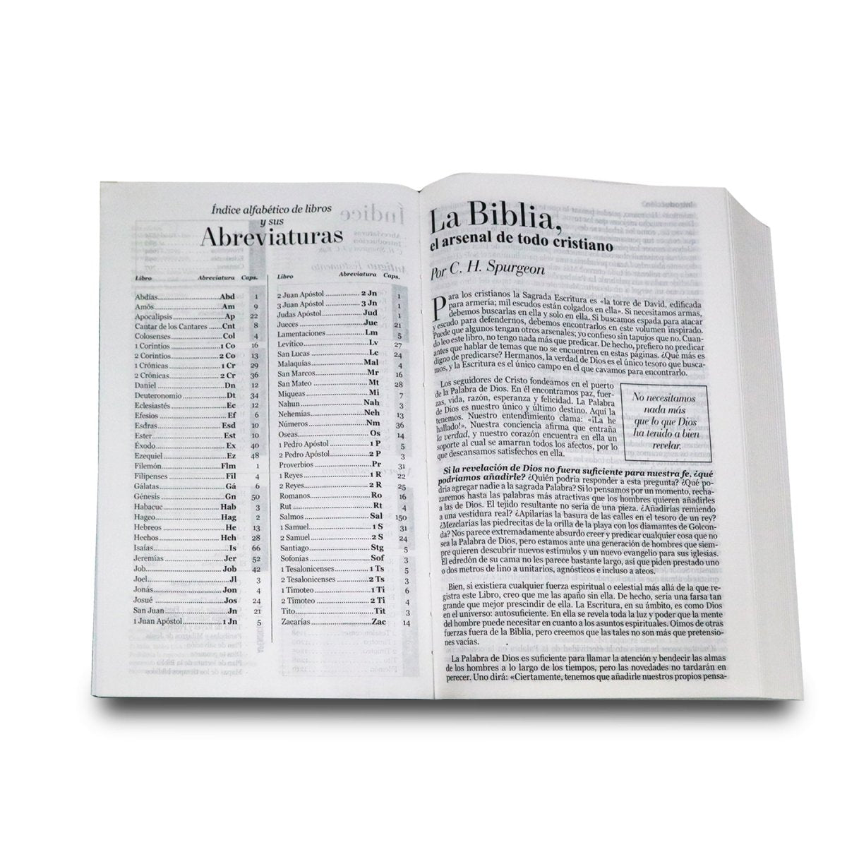 Biblia Reina Valera 1960 | Letra gigante 15 pts | Diseño mariposa turquesa/rosa | Imitación piel | Español