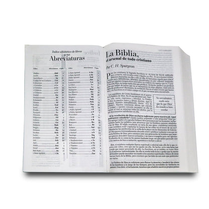 Biblia Reina Valera 1960 | Letra gigante 15 pts | Diseño mariposa turquesa/rosa | Imitación piel | Español