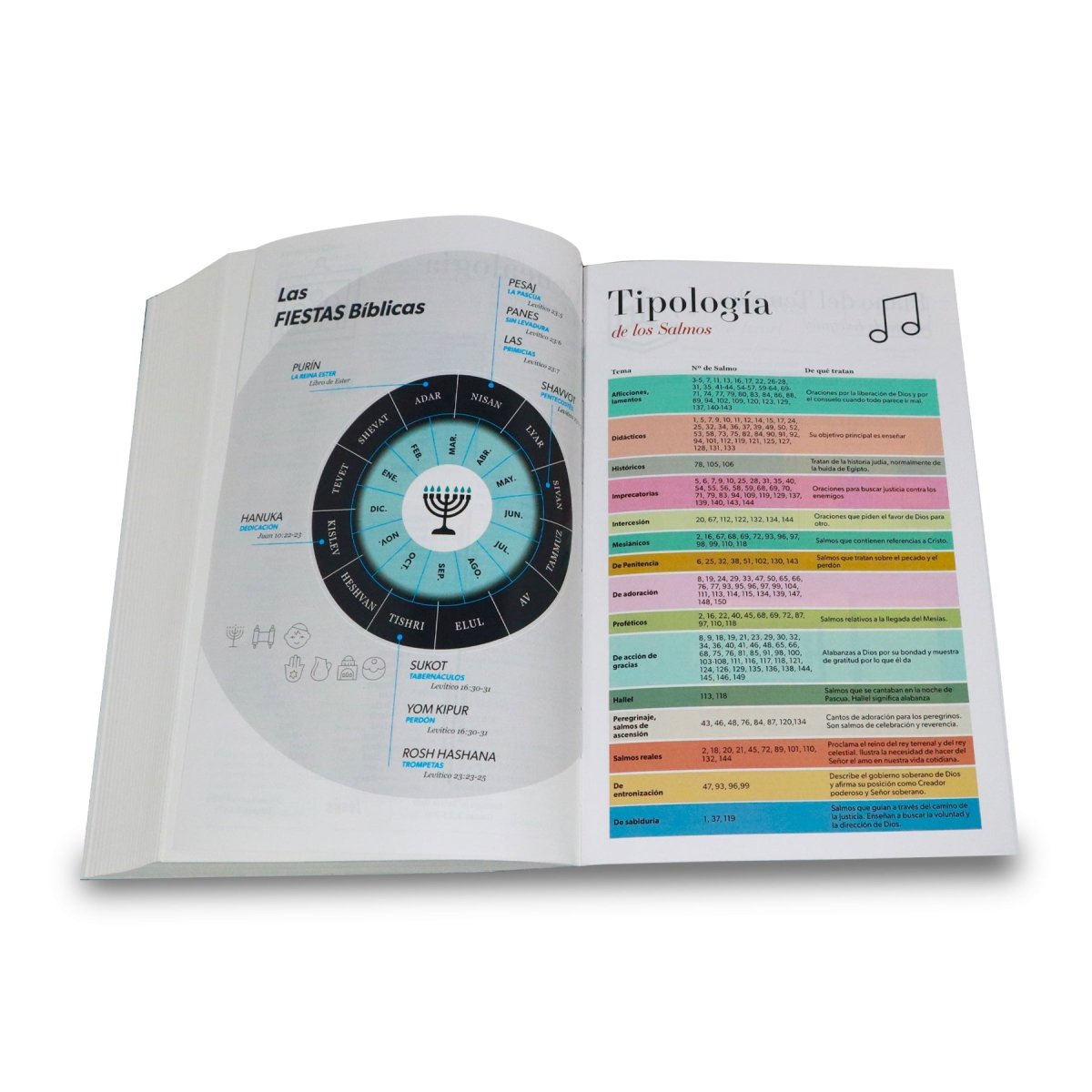 Biblia Reina Valera 1960 | Letra gigante 15 pts | Diseño mariposa turquesa/rosa | Imitación piel | Español