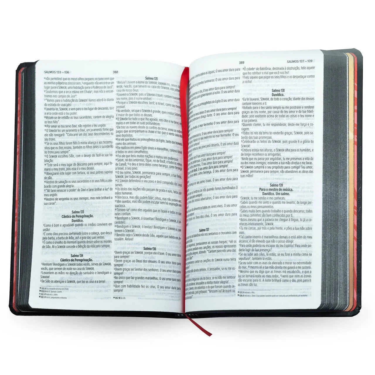 Bíblia Sticker Branca | NVI | Capa Dura | Adesivos Personalizados