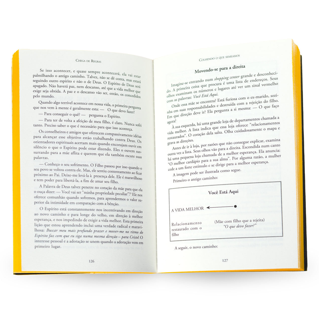 Chega de Regras | Larry Crabb