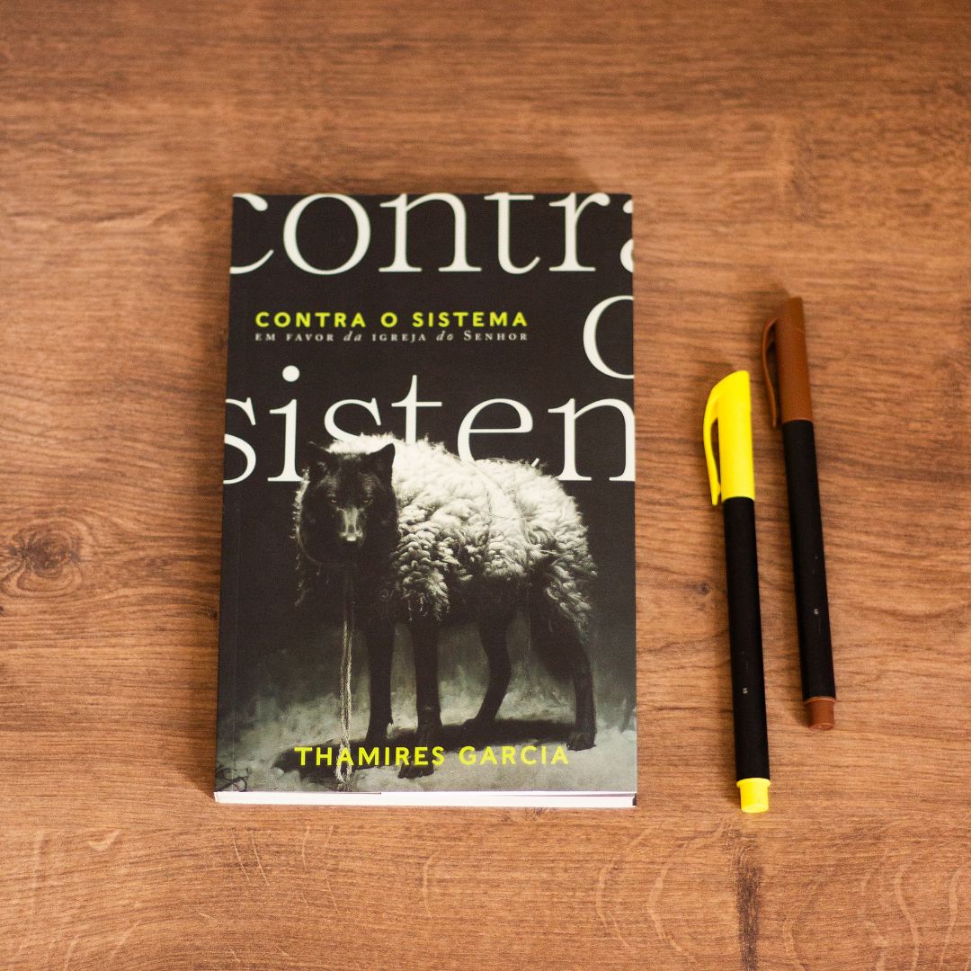 Contra o Sistema | Thamires Garcia