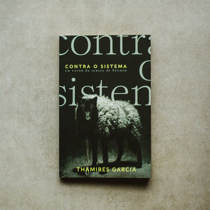 Contra o Sistema | Thamires Garcia