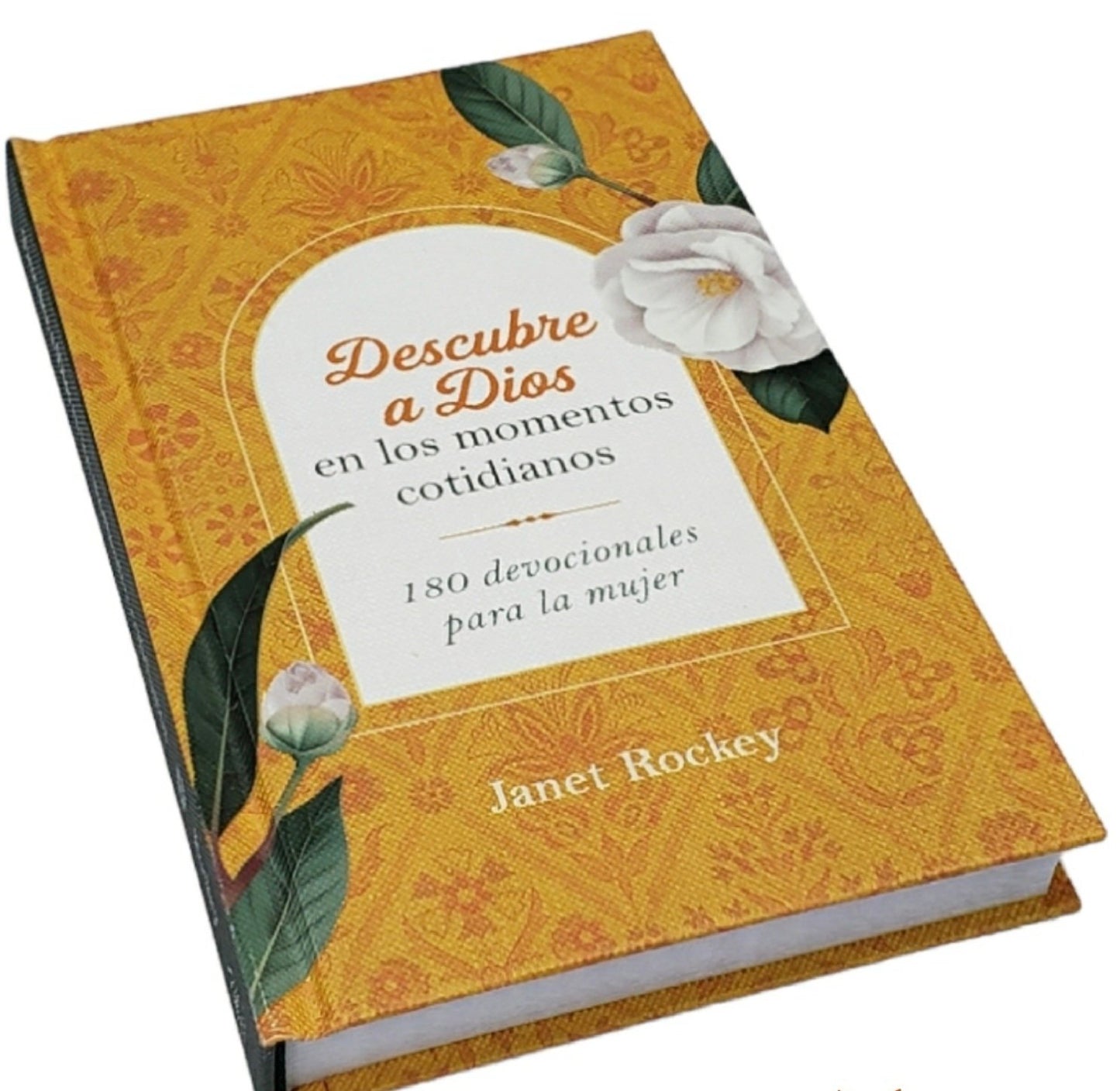 Descubre a Dios en los momentos cotidianos | Janet Rockey – Devocional diario para mujeres