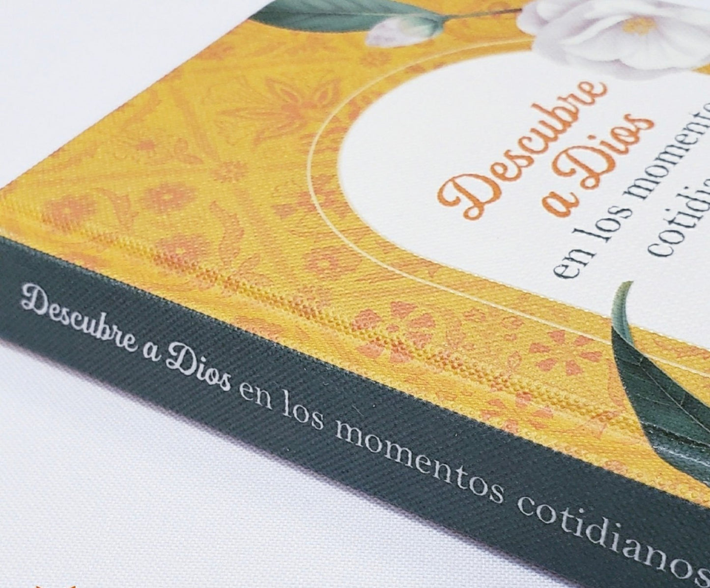 Descubre a Dios en los momentos cotidianos | Janet Rockey – Devocional diario para mujeres