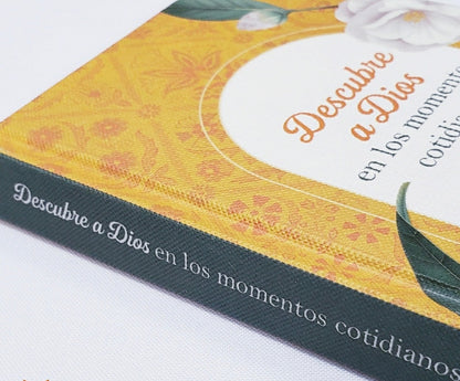 Descubre a Dios en los momentos cotidianos | Janet Rockey – Devocional diario para mujeres