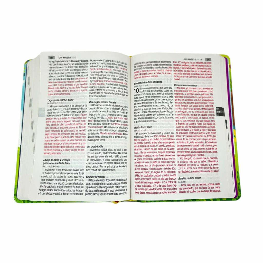 Biblia Reina Valera 1960 | Letra grande | Concordancia | Smilinguido | Tapa dura