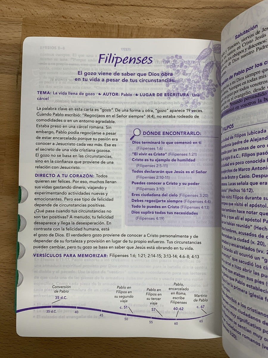 Biblia de una joven conforme al corazón de Dios | Verde | Devocional